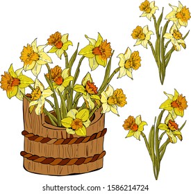 flower seamless and wooden bucket.  Realistic detailed botanical outline sketch drawing vector design illustration.Beautiful in garden concept