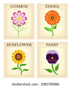 Flower Seed packets-Set of four vintage flower seed packets 