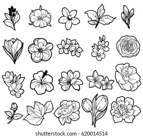 Flower set