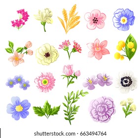 Flower set