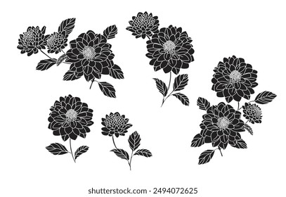 Blumenset, Schwarze Silhouette Dahlienblume auf weißem Hintergrund. Vektorillustration