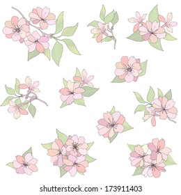 Flower set. Bloom Isolated on white background. Apple tree posy spring collection.
