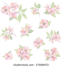 Flower set. Bloom Isolated on white background. Apple tree posy spring collection.