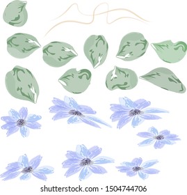 Flower set . Blue flowers, stem, leaves white background.Vector watercolor illustration.