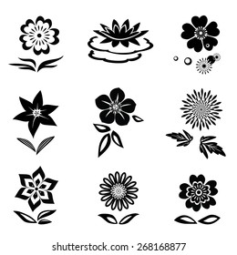 Flower set. Chamomile, chrysanthemum, daisy, lily, orchid, water-lily. Black silhouettes on white background.  Isolated symbols of flowers and leaves. Vector