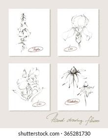 Flower set collection of realistic sketches of flowers on individual postcards. Vector illustration.