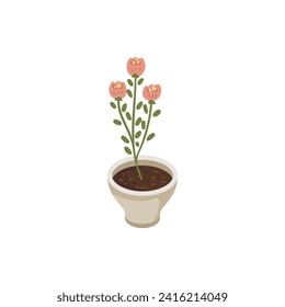 flower set with color vase.set