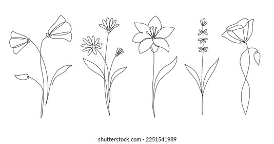 Flower set continuous outline style. Decoration flower, botanical floral element, blossom one line art for wedding, spring concept background. Vector illustration