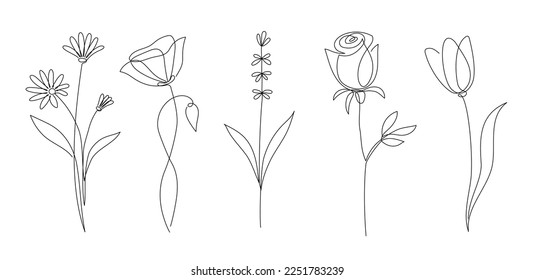 Estilo de contorno continuo de flor. Flor de decoración, elemento floral botánico, flor de una línea de arte para la boda, fondo de concepto primaveral. Ilustración del vector