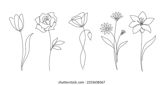 Blumenset-Kontur-Stil. Dekorationsblume, botanisches florales Element, Blütenkunst für Hochzeit, Federkonzeptioneller Hintergrund. Vektorgrafik