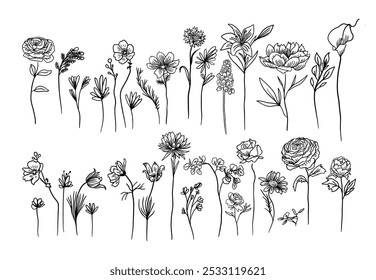 Flower set continuous outline style. Decoration flower, botanical floral element, blossom one line art for wedding, spring concept background. hand drawing. Not AI, Vector illustration.