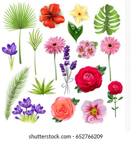 Flower set. Exoic, tropical, decorative plants and flowers. Vector realistic illustration EPS 10.