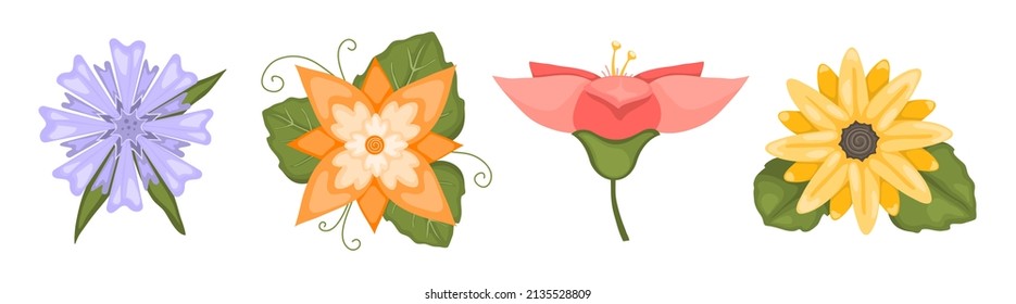Flower set. Floral graphic vector elements.