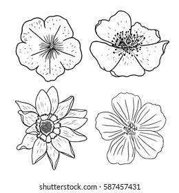 Flower set. Hand drawing collection of black and white flowers. Vector.