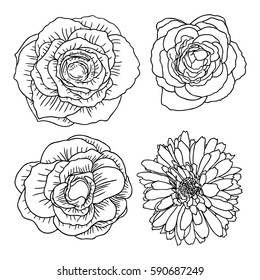 Flower set. Hand drawing collection of black and white flowers. Vector.