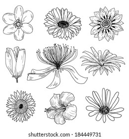 Flower set hand drawn.