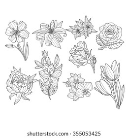 Flower Set. Hand Drawn Monochrome Vector Illustration 