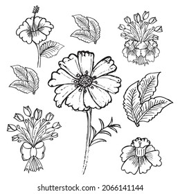 Flower set Hand-drawn line art drawing vector illustration. Outline floral designs in hand-drawn style isolated on white background. Hand drawing floral doodles vector illustration. Minimalism art.