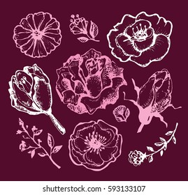 Flower set: highly detailed hand drawn flowers and leaves. Vector illustration