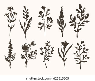 Flower set: highly detailed hand drawn flowers and leaves. Vector illustration
