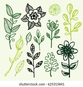 Flower set: highly detailed hand drawn flowers and leaves. Vector illustration