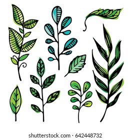 Flower set: highly detailed hand drawn flowers and leaves. Vector illustration