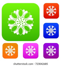 Flower set icon color in flat style isolated on white. Collection sings vector illustration