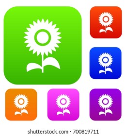 Flower set icon in different colors isolated vector illustration. Premium collection