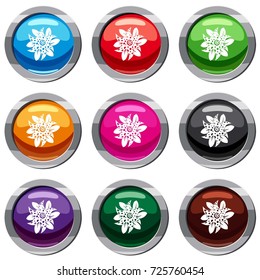 Flower set icon isolated on white. 9 icon collection vector illustration