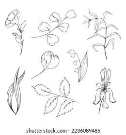 flower set with iris lily of the valley and twigs with leaves in hand drawn style