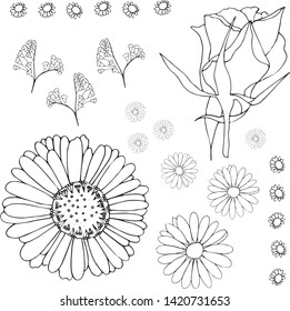 Flower set isolated black and white