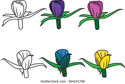 flower set isolated illustration