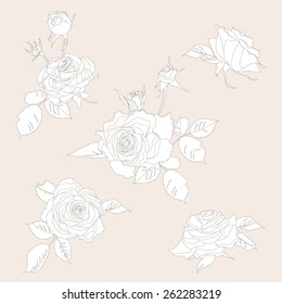 Flower set of monochrome hand drawn roses.Flower Icons. Flower buds, leaves and stems can be easily separated and removed. Vector.