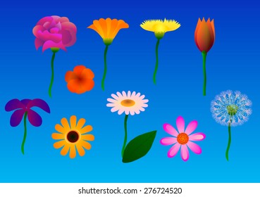 Flower set on blue background.