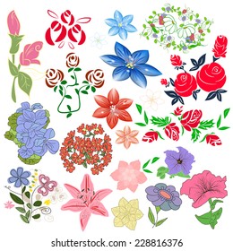 Flower set. On a white background