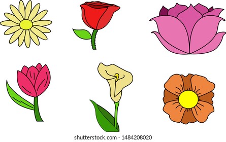 
The flower set in the picture will have different colorful flowers.