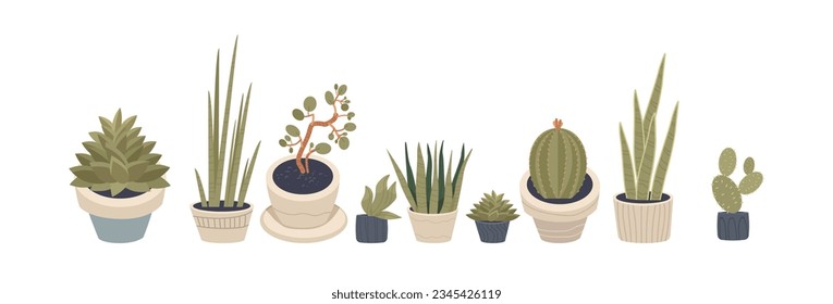 Flower set in pots. Succulents and cactus set in ceramic pots in pastel shades. Vector illustration. Horizontal banner.