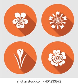 Flower set. Primula, viola, blue poppy, Crocus, Saffron. Spring flowers. Floral symbols with leaves. Color icons. May be used in cuisine. Vector isolated. 