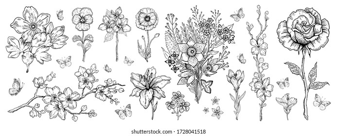 Flower set. Rose, poppy, lily, cherry blossom. Vector floral graphic, sketch plant illustration. Black and white vintage line art. Spring or summer hand drawn flowers. Botanical engraved collection