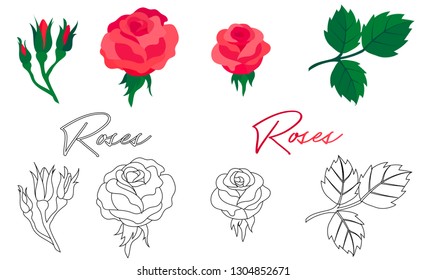 Flower set of roses. Sketch of roses