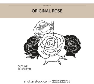 Flower set silhouette outline flat element vector
