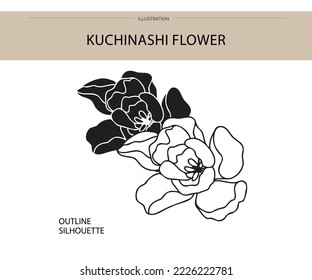 Flower set silhouette outline flat element vector