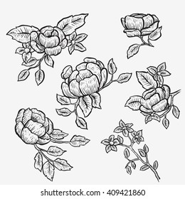 flower set sketch line 