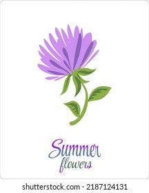 A flower from the set "Summer flowers". Vector. Pastel colors. Buds and twigs. Suitable for printing on fashion accessories, T-shirts and postcards.