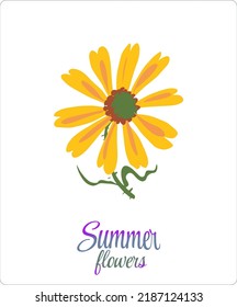 A flower from the set "Summer flowers". Vector. Pastel colors. Buds and twigs. Suitable for printing on fashion accessories, T-shirts and postcards.