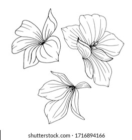 flower set of three elements for decoration. blooming flowers for greeting cards or invitations