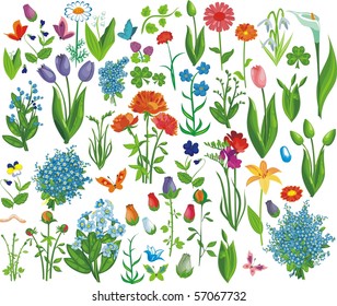 flower set in vector