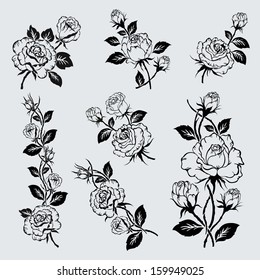 Flower set. Vintage rose collection with , floral elements, buds and leafs