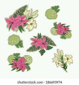 Flower set:hand drawn lilies
