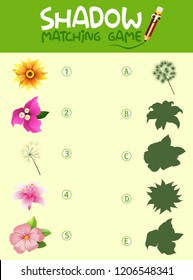 Ilustración de juego de coincidencia de sombras de flor